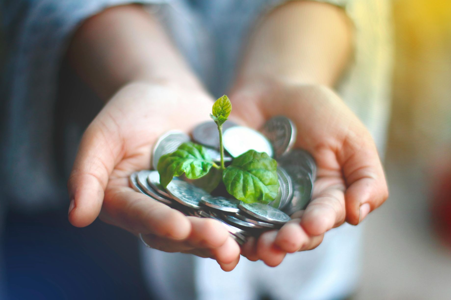 Photo de Akil Mazumder/Pexels