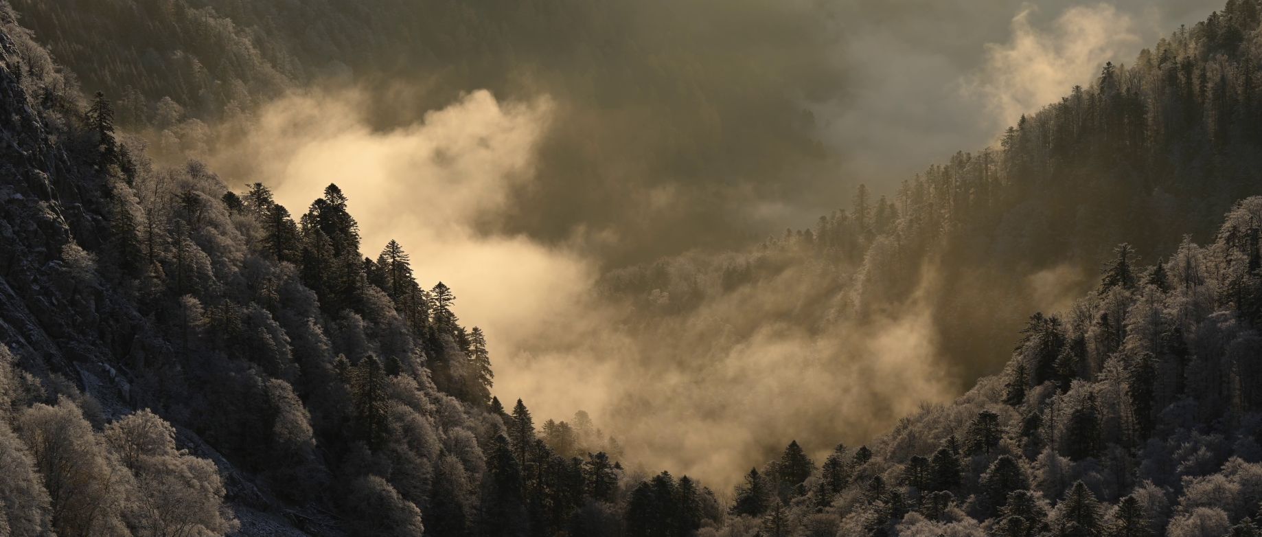 © Vincent Munier / Kobalann Productions