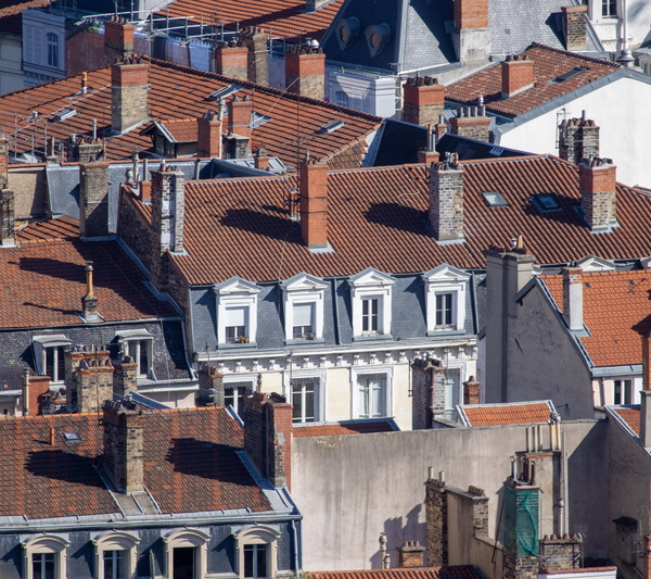 Toits de Lyon ©Delphine Castel