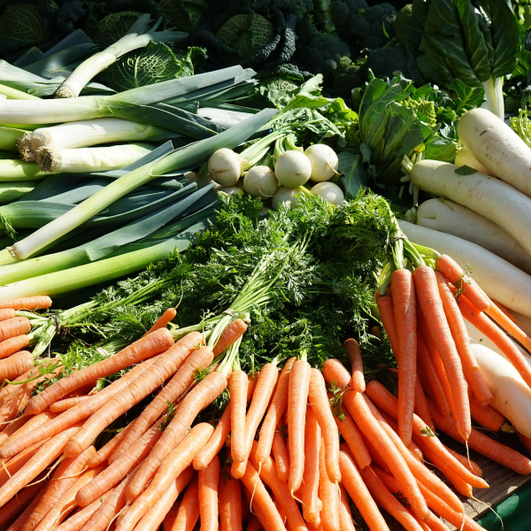 Légumes de saison © Mark 318149 Hans / Pixabay