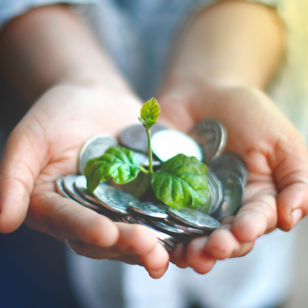 Photo de Akil  Mazumder/Pexels