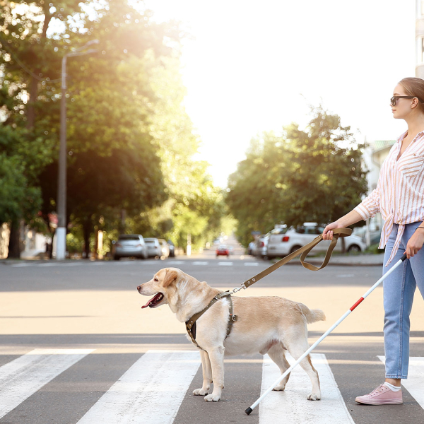 Femme non voyante avec son chien-guide © Pixel Shot / Shutterstock 1466396555