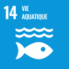 Objectif de développement durable 14: vie aquatique