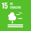 Objectif de développement durable 15:  vie terrestre
